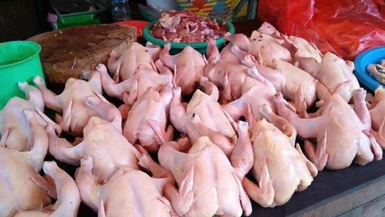 Harga Ayam Sekilo Hari ini di Seluruh Malaysia